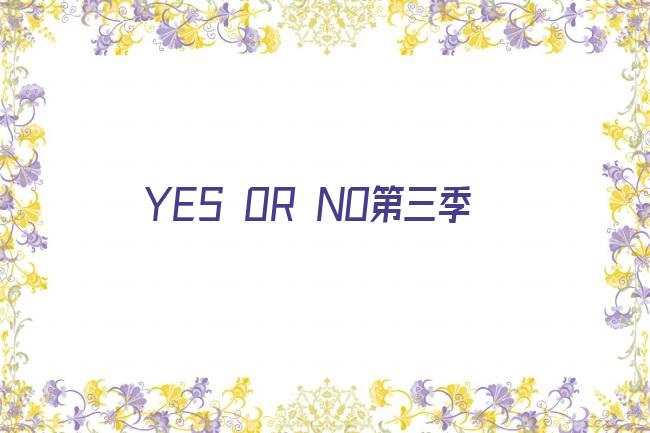 yes or no有第三部吗剧照